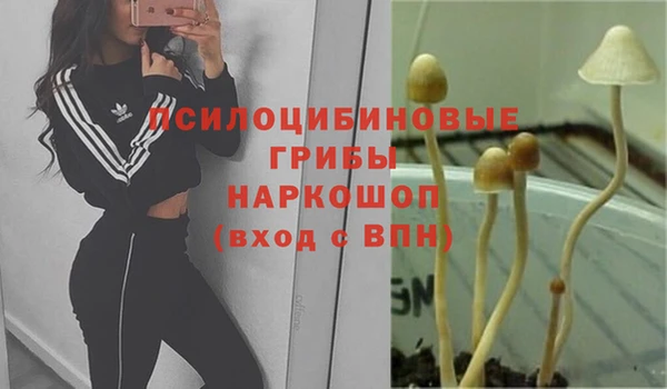 дживик Рославль