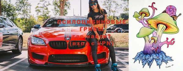 ешки Алексеевка